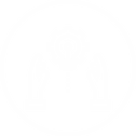 02.png